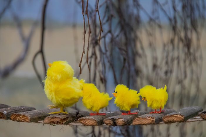 Previste piogge per la domenica di Pasqua ma Pasquetta sarà senza precipitazioni