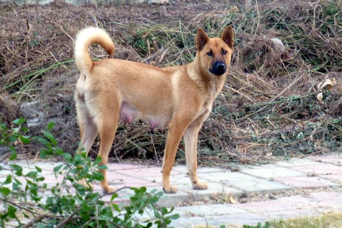 Immagine generica Immagine generica