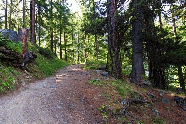 Ci sono troppe contraddizioni e luoghi comuni anche nella gestione turistica del territorio montano