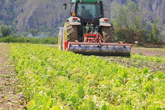 Fratelli d’Italia-AN Cuneo: aboliamo l’IMU agricola! Fratelli d’Italia-AN Cuneo: aboliamo l’IMU agricola!