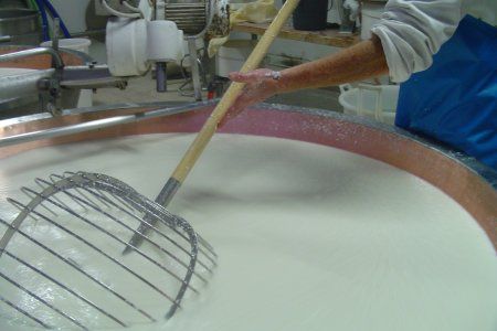 Latticello sversato in una bealera: condannato al pagamento di 9mila euro l'amministratore del caseificio Fiandino di Villafalletto Latticello sversato in una bealera: condannato al pagamento di 9mila euro l'amministratore del caseificio Fiandino di Villafalletto