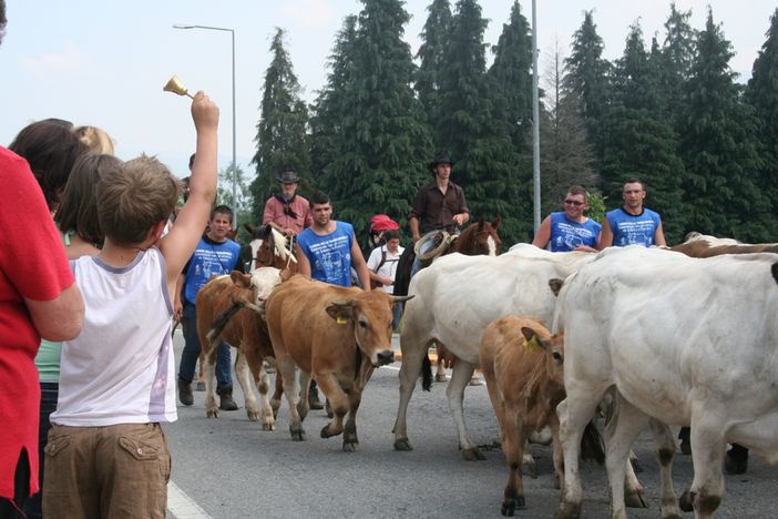 La transumanza 2010 transita a Paesana