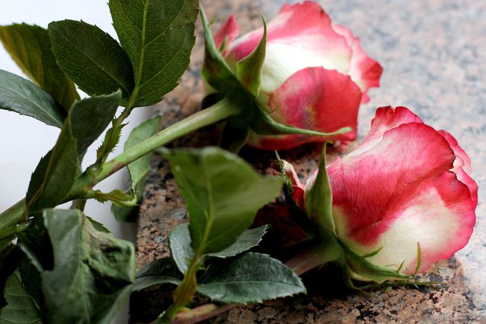 Un minuto di silenzio a Savigliano per commemorare le vittime di Parigi