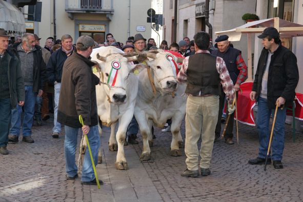 (Immagine di repertorio)