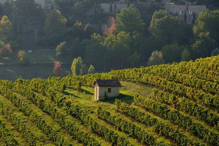 La cantina Produttori di Govone apre le porte al pubblico La cantina Produttori di Govone apre le porte al pubblico