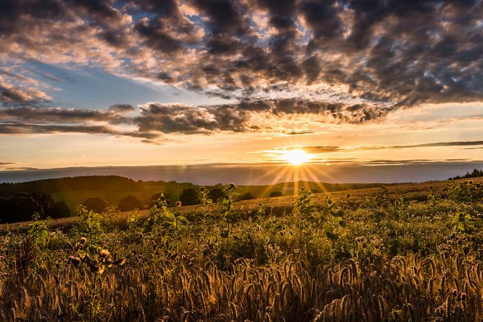 Foto generica Foto generica