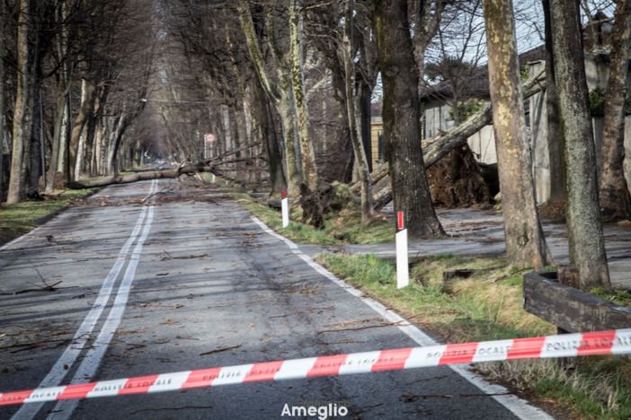 Tromba d'aria a Cuneo: le impressionanti immagini che ci arrivano dai lettori