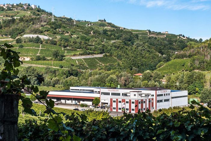 Santo Stefano Belbo: cantina Vallebelbo annuncia "alleanza strategica" con Veraison Group