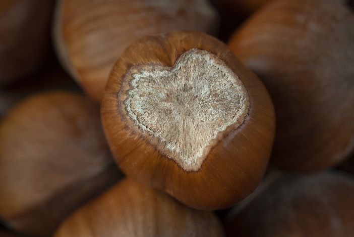 Alcuni scatti del fotografo Enzo Massa
