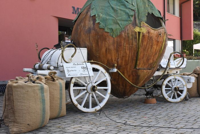 Foto di Barbara Guazzone