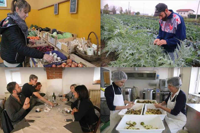 La copertina dell'azienda agricola L'Orto del Pian Bosco La copertina dell'azienda agricola L'Orto del Pian Bosco