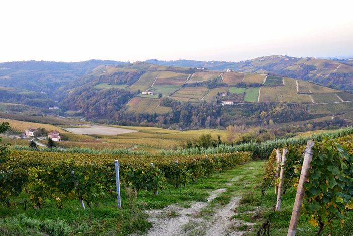 Le colline di Trezzo Tinella