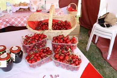 Dal Palio dei Borghi di Fossano alla Fiera della Ciliegia di Dogliani: ecco tutti gli eventi del weekend in provincia di Cuneo