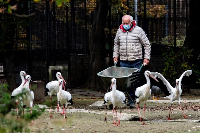 Foto di Filippo Marmo