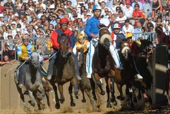 Gli appassionati di Palio, Cavalli e Sbandieratori possono seguire in diretta web il Palio di Asti