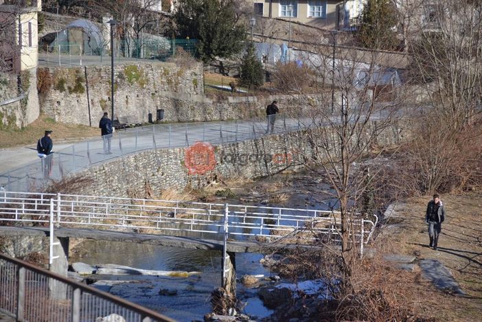 Rilievi con i cani molecolari sulla zona dell'omicidio di Barge: si cerca l’arma del delitto? Rilievi con i cani molecolari sulla zona dell'omicidio di Barge: si cerca l’arma del delitto?