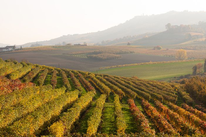 Mondovì, alla gelateria Lurisia la rassegna artistica "Immagini e genti di Langa" Mondovì, alla gelateria Lurisia la rassegna artistica "Immagini e genti di Langa"