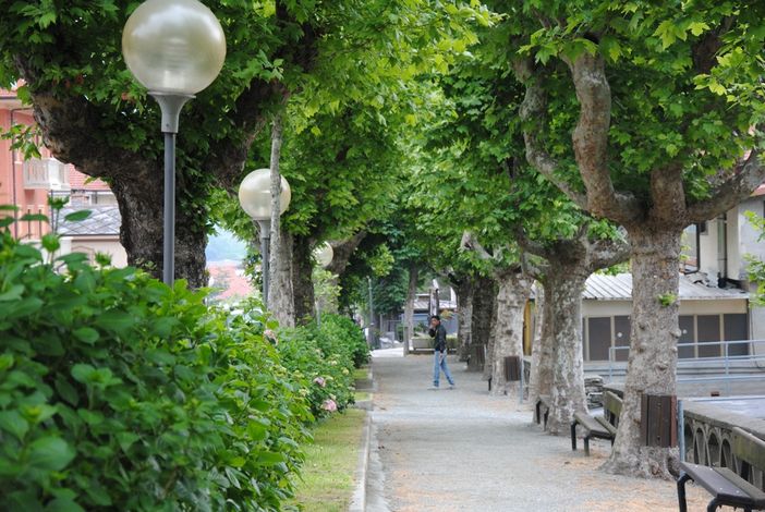 La Lea alberata di Sanfront corre parallela a corso Vittorio Veneto