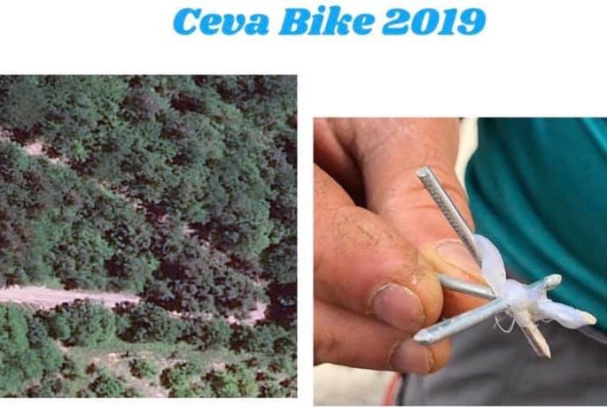 Chiodi sul percorso del "Ceva Bike": tante forature, ma, per fortuna, nessun ferito Chiodi sul percorso del "Ceva Bike": tante forature, ma, per fortuna, nessun ferito