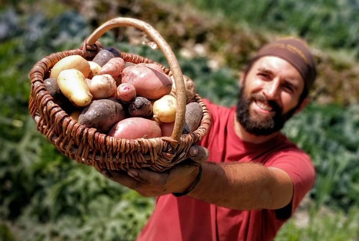 Daniele Landra dell'azienda "Al Chersogno" con un cesto di patate novelle appena raccolte