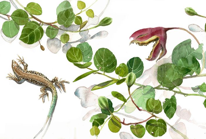 Cuneo, per l'11ª edizione di "Cuneo Vualà" alla Fondazione Peano una duplice esposizione