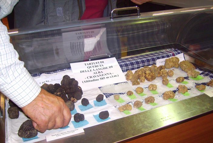 Sabato 30 aprile l'incontro con i fondatori della neonata "Save the truffle"