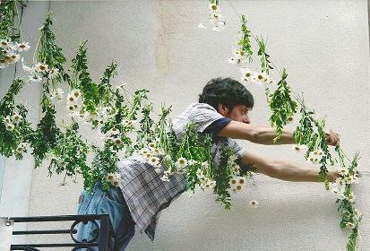 I prossimi appuntamenti nella Città di Ormea