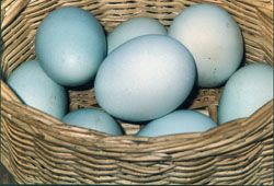 Seminario gratuito e nuovi laboratori presso il Parco Scientifico Tecnogranda