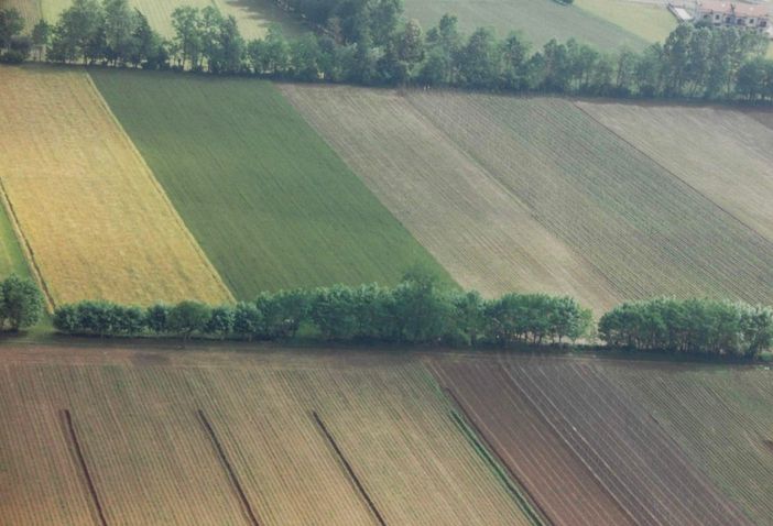 Cia Cuneo: “Le modifiche alla Pac alleggeriscono gli iter burocratici e gli impegni ambientali”