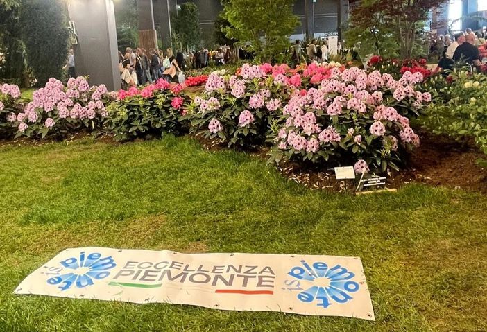 Fiori, emozioni e musica vegetale: Clorofilla 2025 fa cantare le piante nel cuore di Alba