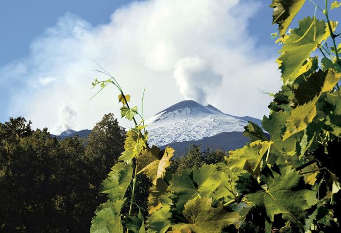 Alba, Etna & Barolo: istituzioni e produttori siciliani ospiti in occasione della Fiera del Tartufo Alba, Etna & Barolo: istituzioni e produttori siciliani ospiti in occasione della Fiera del Tartufo
