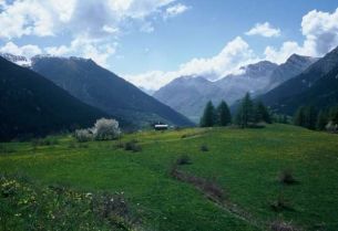 Green Communities, tre progetti finanziati in Piemonte: alla valle Stura oltre 4 milioni di euro