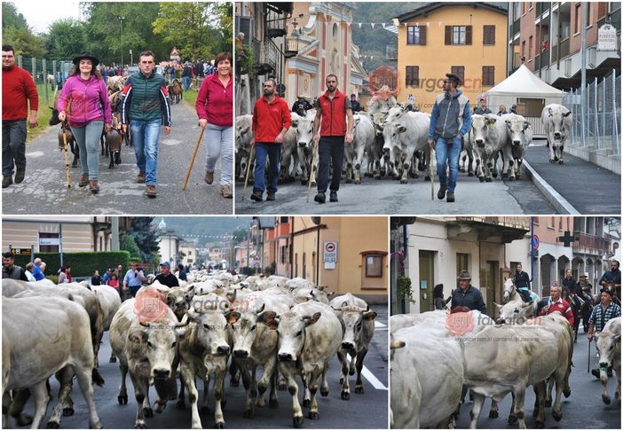Le immagini della demonticazione di oggi pomeriggio