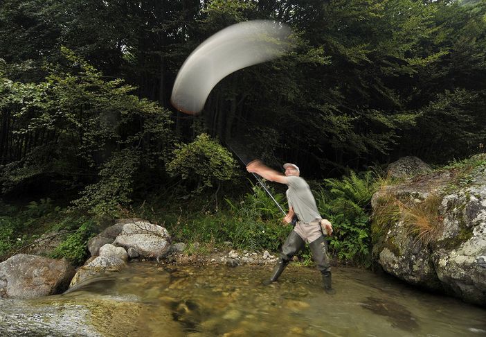 Taxon: a Vernante la mostra sulla biodiversità dei Parchi Alpi Marittime Mercantour Taxon: a Vernante la mostra sulla biodiversità dei Parchi Alpi Marittime Mercantour