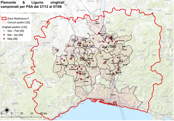 Peste suina africana, la mappa della “zona di protezione II"