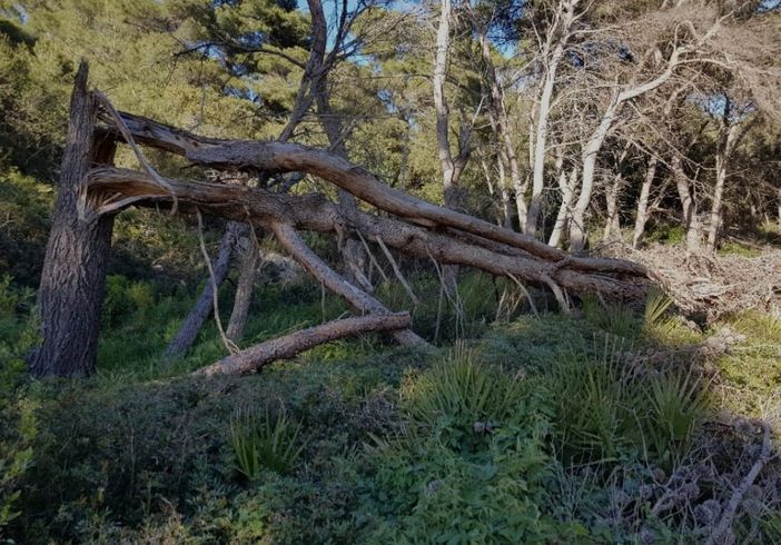 Come contrastare l’abbandono dei terreni montani e pedemontani nelle Valli del Monviso
