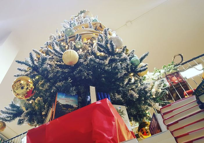 Buon Natale dal Caffè Letterario di Bra con 10 libri da mettere sotto l’albero Buon Natale dal Caffè Letterario di Bra con 10 libri da mettere sotto l’albero