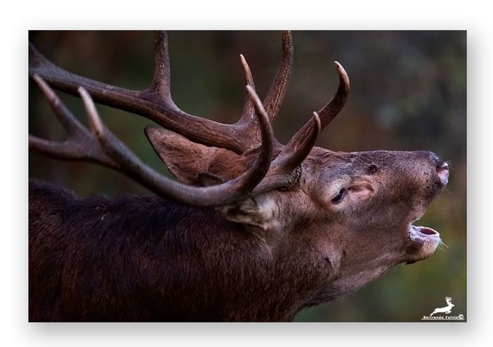 Uno stupendo scatto di Fulvio Beltrando