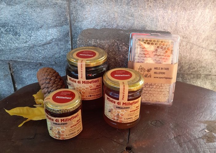 www.apeartigiana.it: l’alveare in un click