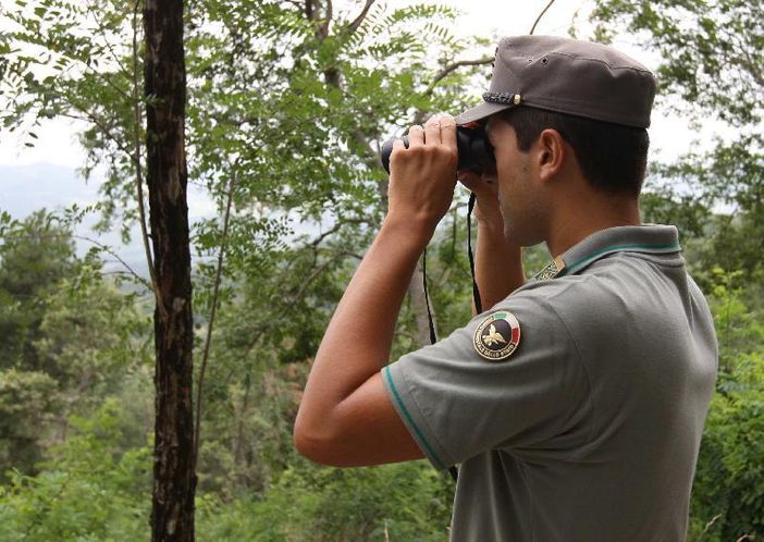 Oggi il Governo vara il “decreto Madia”,  che cancella per sempre il Corpo Forestale dello Stato. Verrà assorbito dai Carabinieri
