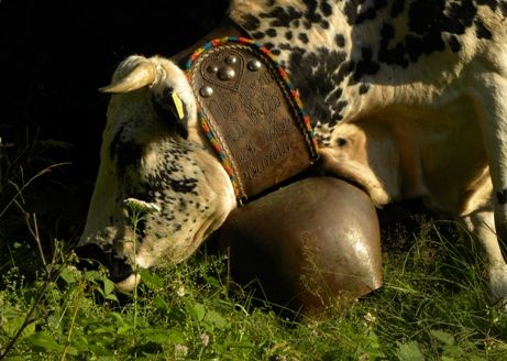 In frazione Occa di Envie domenica 21 settembre c’è “Per chi suona la taluca” In frazione Occa di Envie domenica 21 settembre c’è “Per chi suona la taluca”