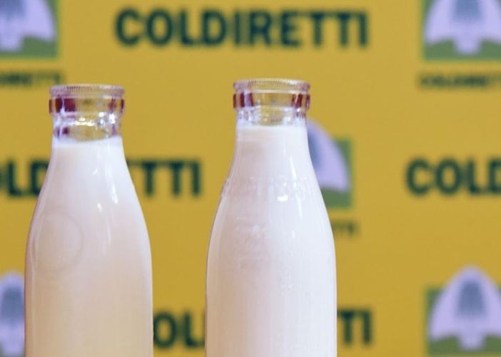 Latte, Coldiretti Cuneo: "Necessario valorizzare la produzione locale"