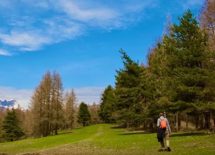 Terapia forestale: al via le attività in collaborazione con l'Ecomuseo dell'Alta Valle Maira Terapia forestale: al via le attività in collaborazione con l'Ecomuseo dell'Alta Valle Maira