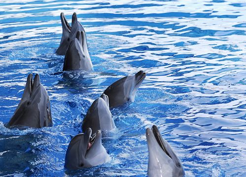 Saluzzo, viaggi di andata e ritorno dal movimento al suono