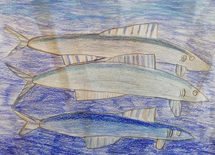 Svelati i vincitori del concorso "Io Peyre Acciugaio della Valle Maira"