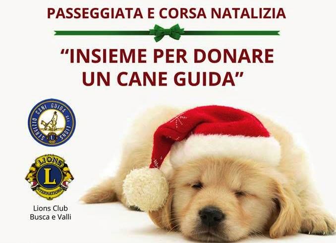 Busca, insieme per donare un cane guida per non vedenti