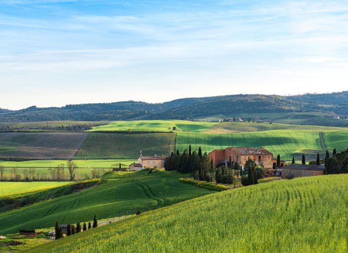 Il mondo della Cannabis Light: una guida alla qualità, sicurezza e convenienza Il mondo della Cannabis Light: una guida alla qualità, sicurezza e convenienza