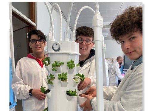 Gli studenti del Cillario Ferrero impegnati nella coltura idroponica Gli studenti del Cillario Ferrero impegnati nella coltura idroponica