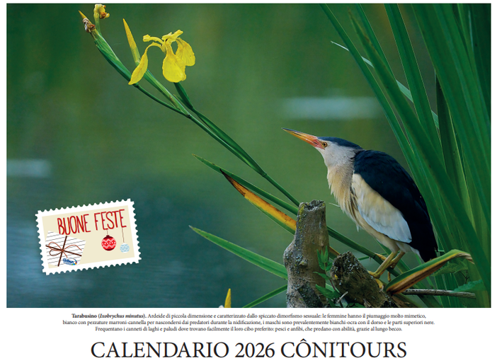 Conitours presenta il Calendario 2026: un omaggio alla natura della Granda e all’impegno per la promozione del territorio