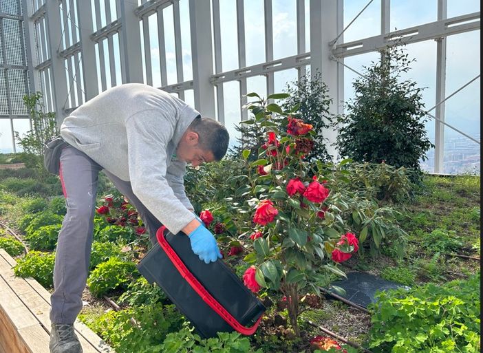 Cirio risponde agli ambientalisti: “Grazie del letame, lo useremo come concime”